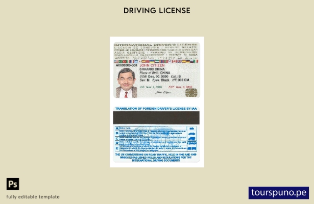 listo para imprimir plantilla de licencia de conducir internacional